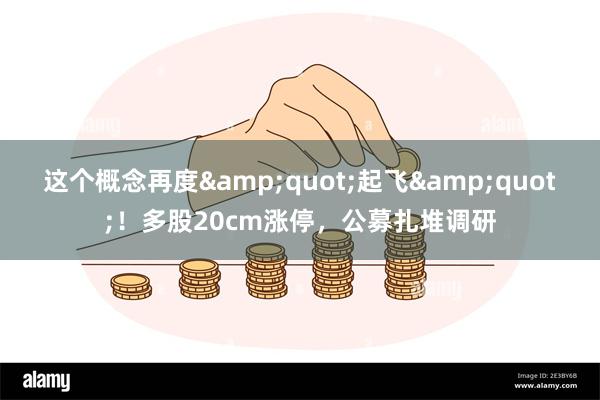 这个概念再度&quot;起飞&quot;！多股20cm涨停，公募扎堆调研