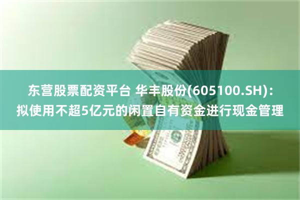 东营股票配资平台 华丰股份(605100.SH)：拟使用不超5亿元的闲置自有资金进行现金管理