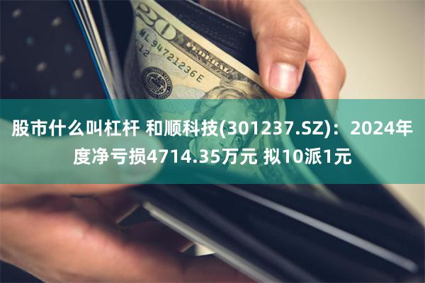 股市什么叫杠杆 和顺科技(301237.SZ)：2024年度净亏损4714.35万元 拟10派1元