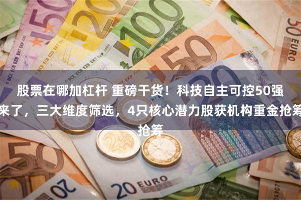 股票在哪加杠杆 重磅干货！科技自主可控50强来了，三大维度筛选，4只核心潜力股获机构重金抢筹