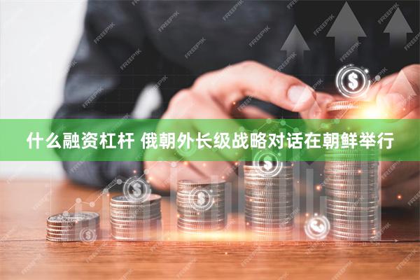 什么融资杠杆 俄朝外长级战略对话在朝鲜举行