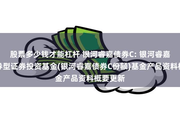 股票多少钱才能杠杆 银河睿嘉债券C: 银河睿嘉纯债债券型证券投资基金(银河睿嘉债券C份额)基金产品资料概要更新