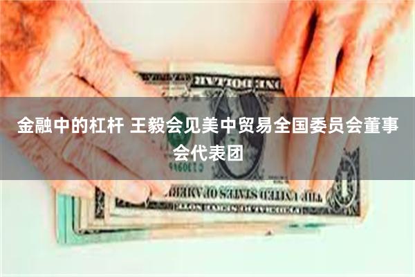 金融中的杠杆 王毅会见美中贸易全国委员会董事会代表团