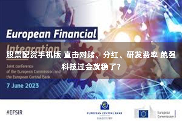 股票配资手机版 直击对赌、分红、研发费率 兢强科技过会就稳了?