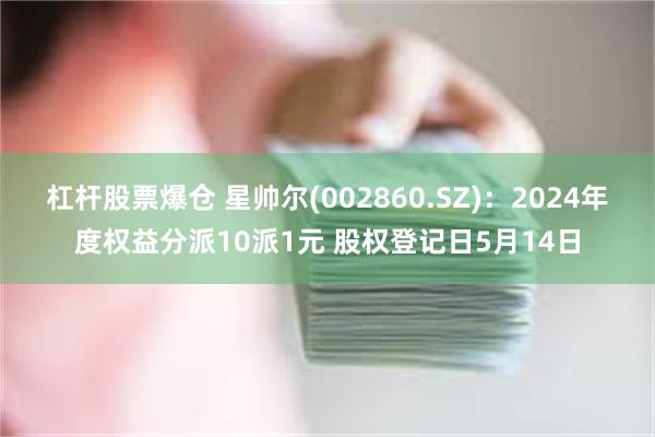 杠杆股票爆仓 星帅尔(002860.SZ)：2024年度权益分派10派1元 股权登记日5月14日
