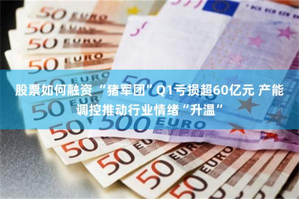 股票如何融资 “猪军团”Q1亏损超60亿元 产能调控推动行业情绪“升温”