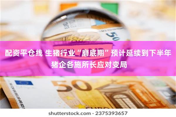 配资平仓线 生猪行业“磨底期”预计延续到下半年 猪企各施所长应对变局
