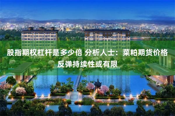 股指期权杠杆是多少倍 分析人士：菜粕期货价格反弹持续性或有限