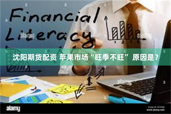 沈阳期货配资 苹果市场“旺季不旺” 原因是？