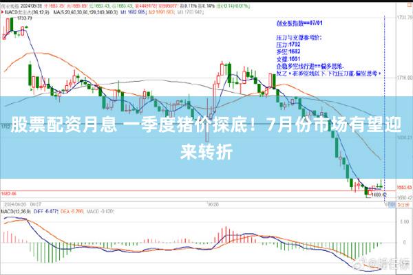 股票配资月息 一季度猪价探底!7月份市场有望迎来转折