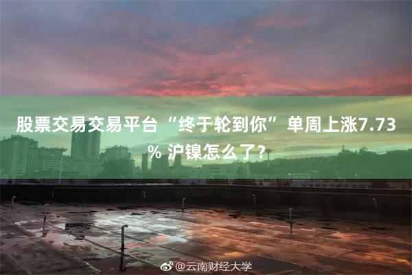 股票交易交易平台 “终于轮到你” 单周上涨7.73% 沪镍怎么了？
