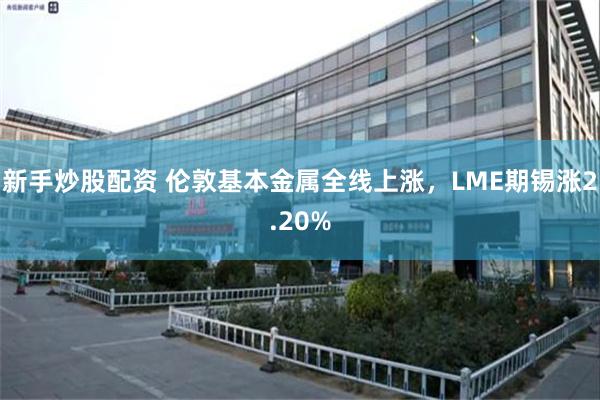 新手炒股配资 伦敦基本金属全线上涨，LME期锡涨2.20%