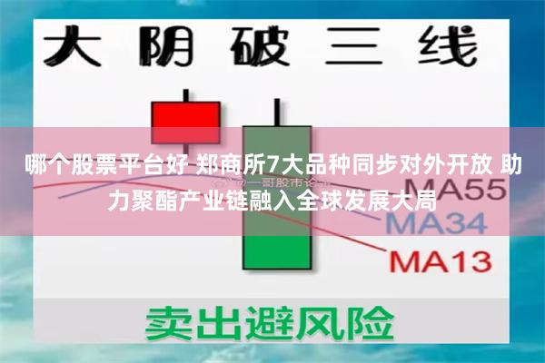 哪个股票平台好 郑商所7大品种同步对外开放 助力聚酯产业链融入全球发展大局