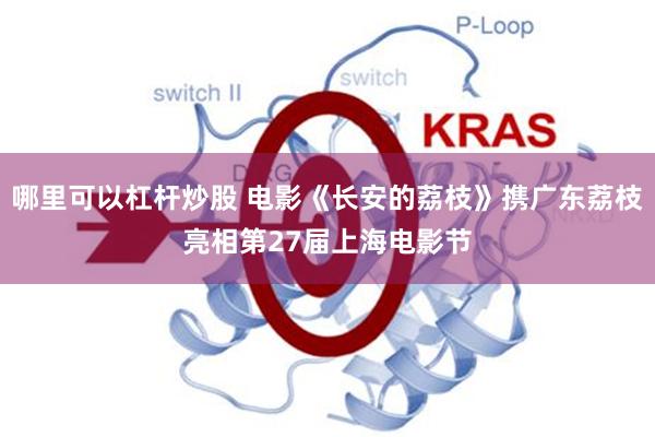哪里可以杠杆炒股 电影《长安的荔枝》携广东荔枝亮相第27届上海电影节