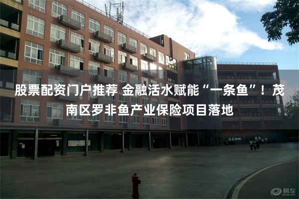股票配资门户推荐 金融活水赋能“一条鱼”！茂南区罗非鱼产业保险项目落地