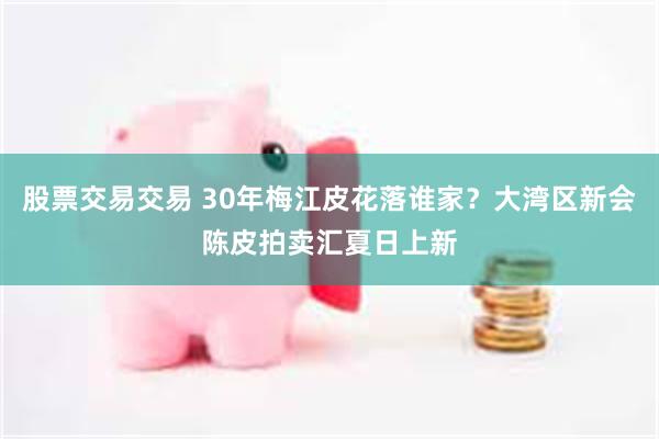 股票交易交易 30年梅江皮花落谁家？大湾区新会陈皮拍卖汇夏日上新