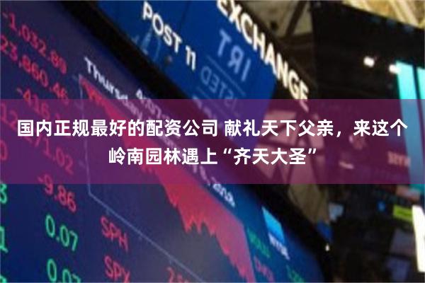 国内正规最好的配资公司 献礼天下父亲，来这个岭南园林遇上“齐天大圣”