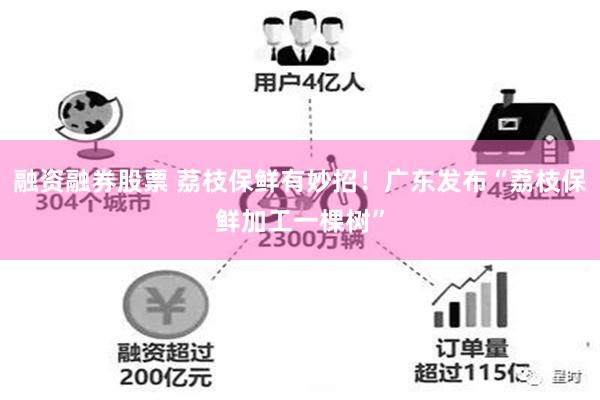融资融券股票 荔枝保鲜有妙招！广东发布“荔枝保鲜加工一棵树”