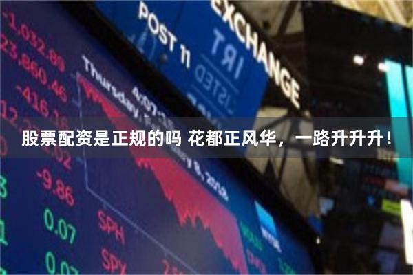 股票配资是正规的吗 花都正风华,一路升升升!
