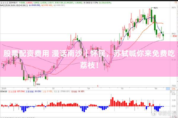 股票配资费用 漫话南沙｜怀民，苏轼喊你来免费吃荔枝！