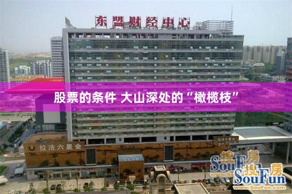 股票的条件 大山深处的“橄榄枝”