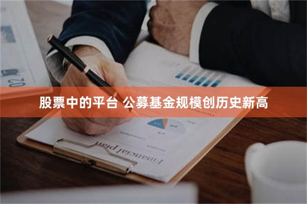 股票中的平台 公募基金规模创历史新高