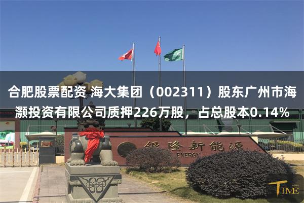 合肥股票配资 海大集团（002311）股东广州市海灏投资有限公司质押226万股，占总股本0.14%