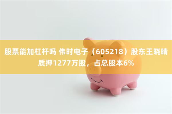 股票能加杠杆吗 伟时电子（605218）股东王晓晴质押1277万股，占总股本6%