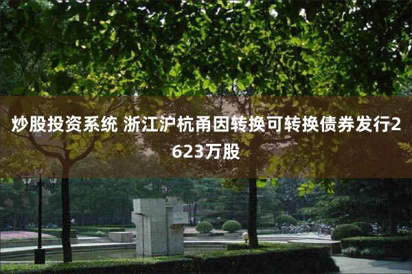炒股投资系统 浙江沪杭甬因转换可转换债券发行2623万股