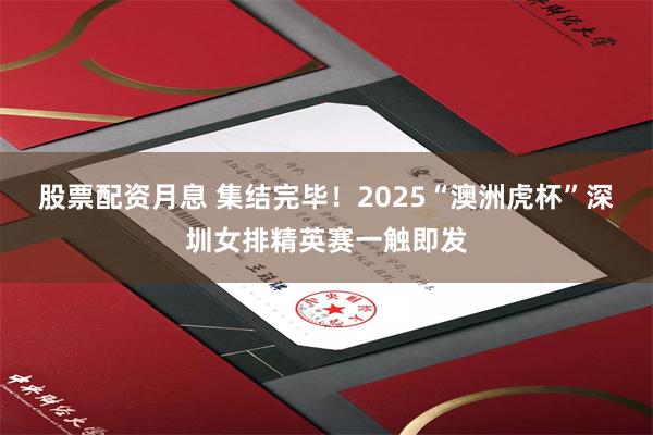 股票配资月息 集结完毕！2025“澳洲虎杯”深圳女排精英赛一触即发