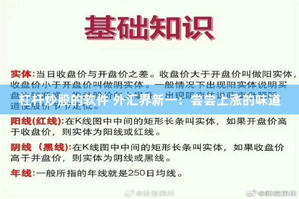 杠杆炒股的软件 外汇界新一：尝尝上涨的味道