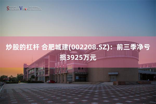 炒股的杠杆 合肥城建(002208.SZ)：前三季净亏损3925万元