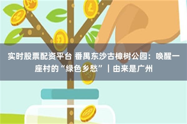 实时股票配资平台 番禺东沙古樟树公园：唤醒一座村的“绿色乡愁”｜由来是广州