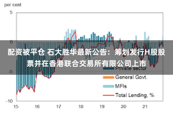 配资被平仓 石大胜华最新公告:筹划发行H股股票并在香港联合交易所有限公司上市