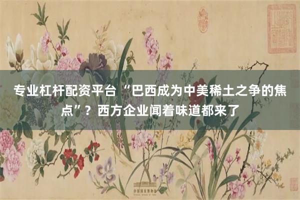 专业杠杆配资平台 “巴西成为中美稀土之争的焦点”?西方企业闻着味道都来了