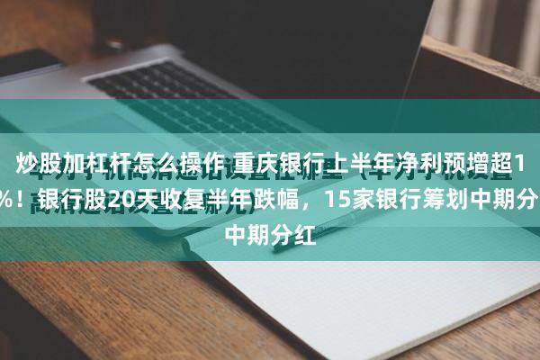 炒股加杠杆怎么操作 重庆银行上半年净利预增超10%！银行股20天收复半年跌幅，15家银行筹划中期分红