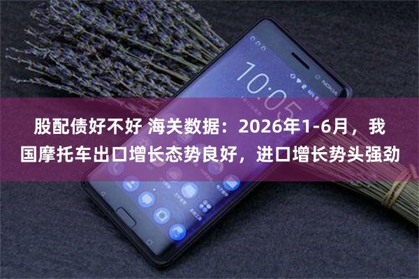 股配债好不好 海关数据:2026年1-6月,我国摩托车出口增长态势良好,进口增长势头强劲