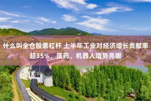 什么叫全仓股票杠杆 上半年工业对经济增长贡献率超35%，医药、机器人增势亮眼