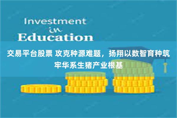 交易平台股票 攻克种源难题，扬翔以数智育种筑牢华系生猪产业根基