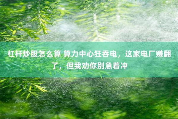 杠杆炒股怎么算 算力中心狂吞电，这家电厂赚翻了，但我劝你别急着冲