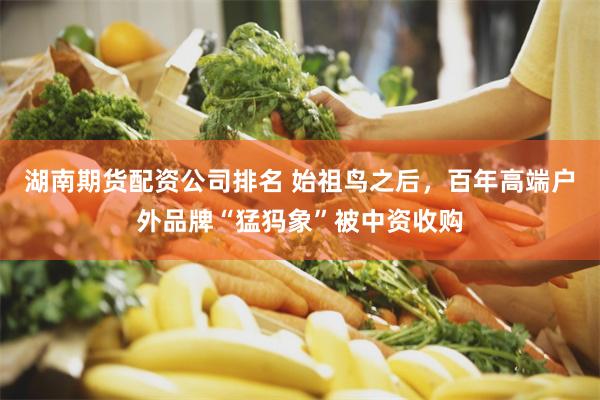湖南期货配资公司排名 始祖鸟之后，百年高端户外品牌“猛犸象”被中资收购