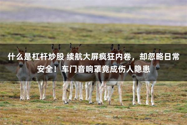 什么是杠杆炒股 续航大屏疯狂内卷，却忽略日常安全！车门音响罩竟成伤人隐患