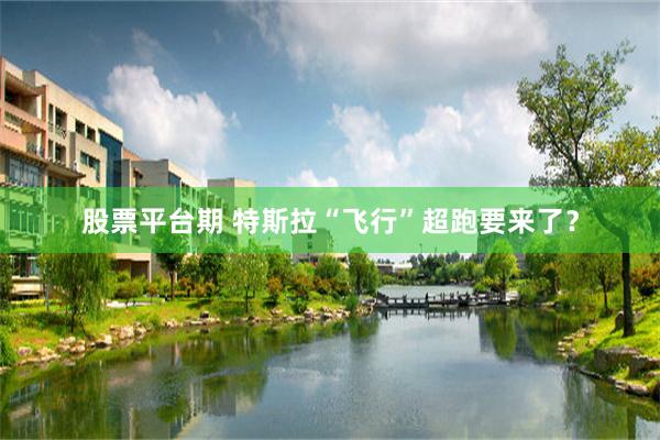 股票平台期 特斯拉“飞行”超跑要来了？