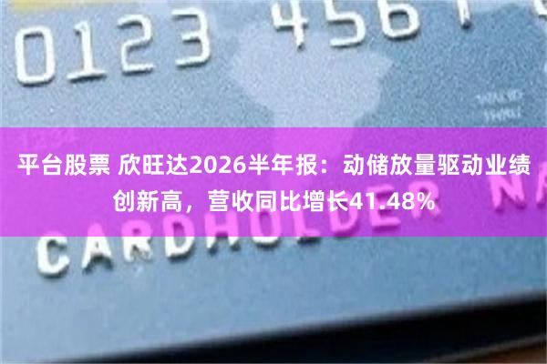 平台股票 欣旺达2026半年报：动储放量驱动业绩创新高，营收同比增长41.48%