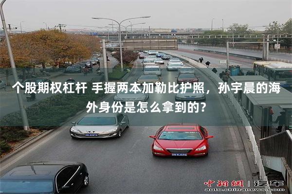 个股期权杠杆 手握两本加勒比护照,孙宇晨的海外身份是怎么拿到的?