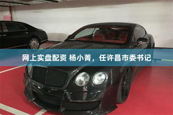 网上实盘配资 杨小菁,任许昌市委书记