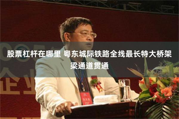 股票杠杆在哪里 粤东城际铁路全线最长特大桥架梁通道贯通