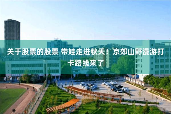 关于股票的股票 带娃走进秋天!京郊山野漫游打卡路线来了