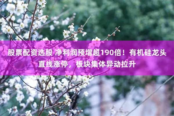 股票配资选股 净利润预增超190倍！有机硅龙头直线涨停，板块集体异动拉升