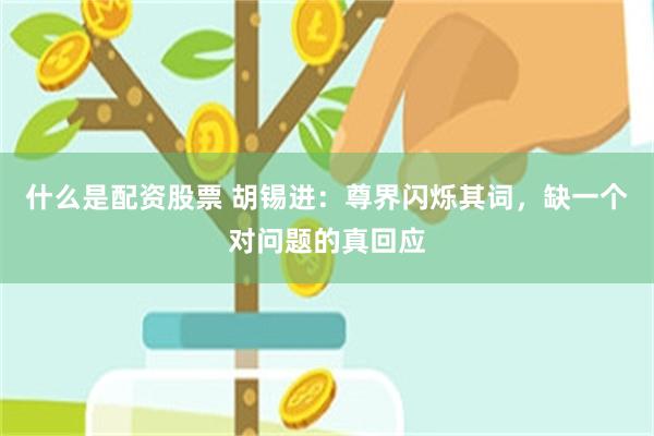 什么是配资股票 胡锡进：尊界闪烁其词，缺一个对问题的真回应